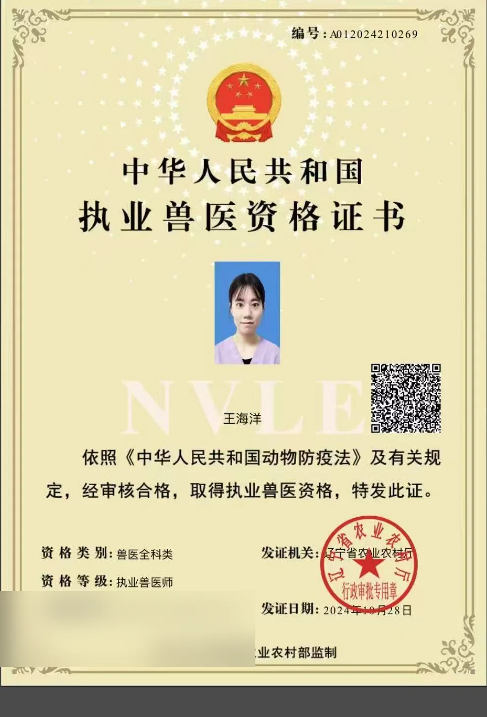 王海洋执业兽医资格证书照片,证书编号A012024210269,兽医全科类,我宠我爱动物医院沈阳保工店主治医生,辽宁省农业农村厅2024年10月发证