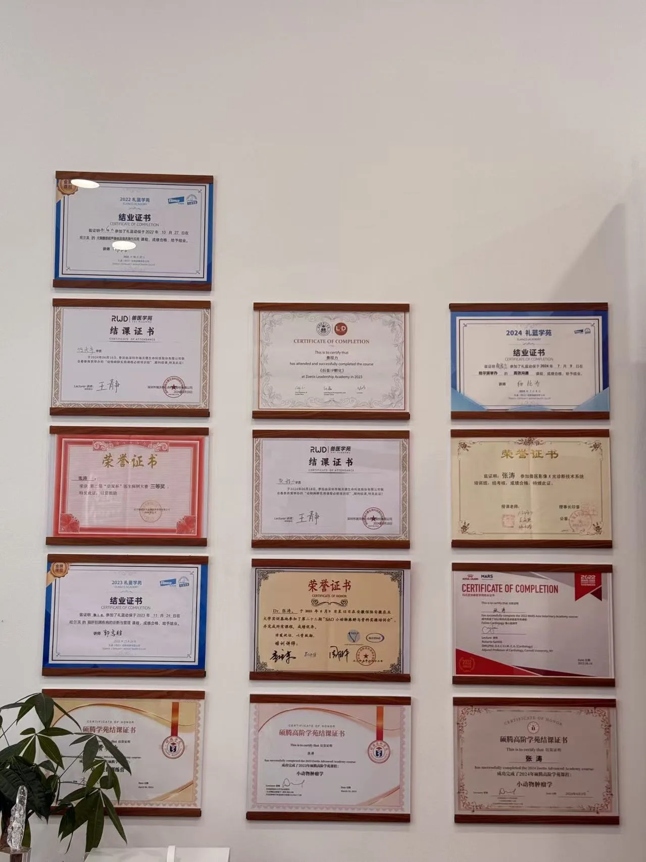滨江店荣誉证书展示照片