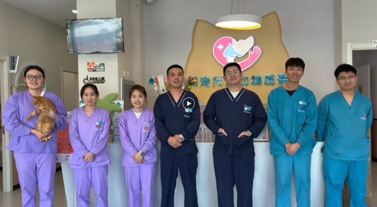 唐人店医护团队合影照片