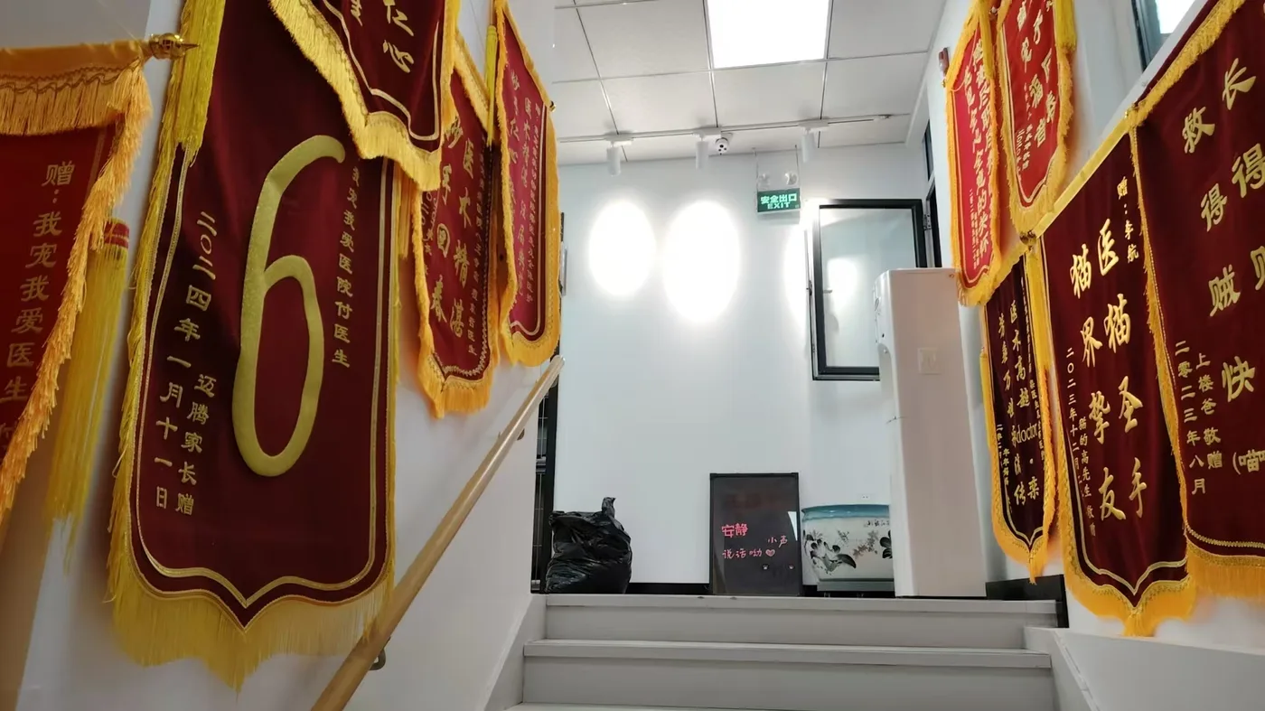 新市府店楼梯间周年锦旗照片