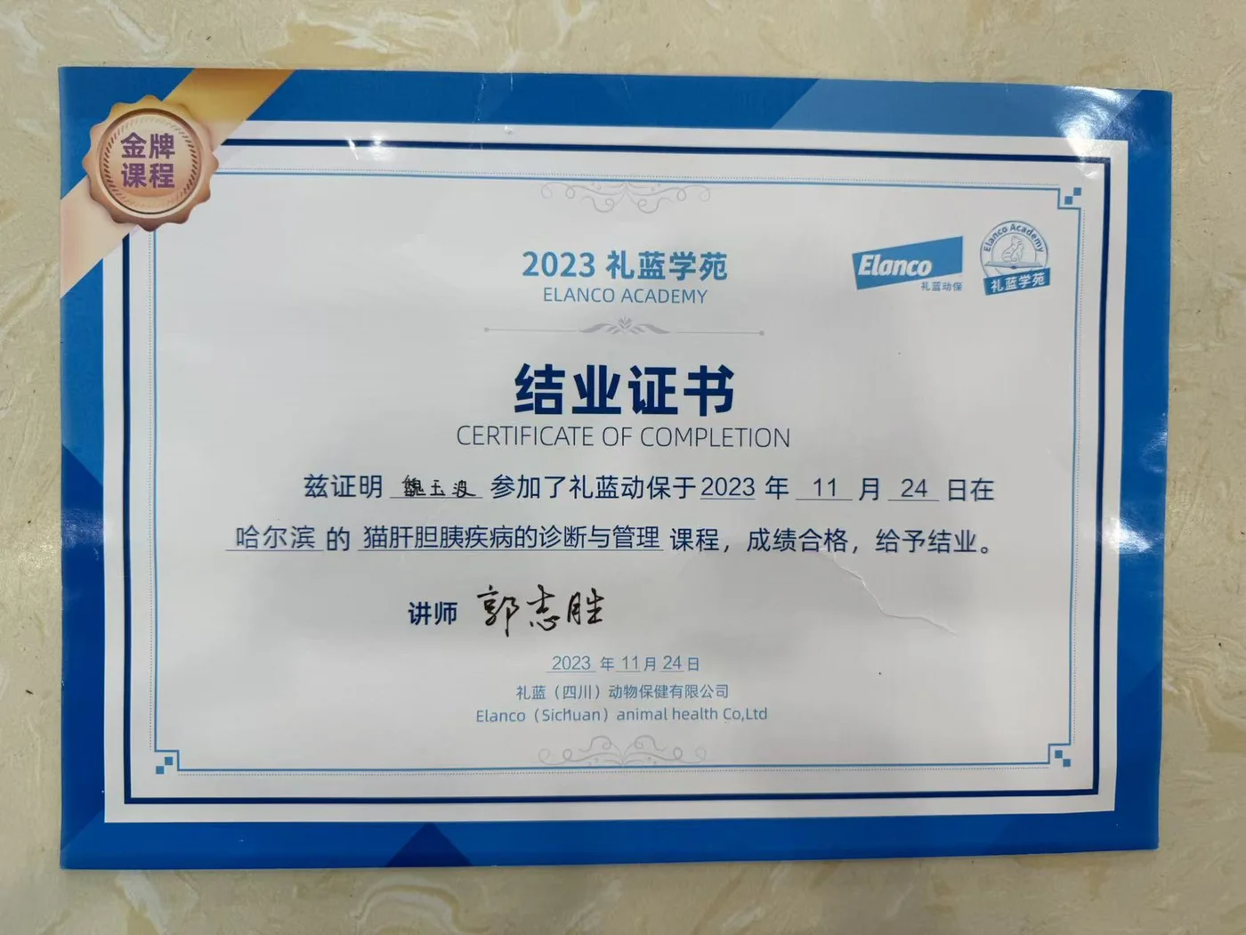 魏玉波礼蓝学苑结业证书照片,礼蓝动物保健有限公司2023年11月,我宠我爱动物医院哈尔滨滨江店医生