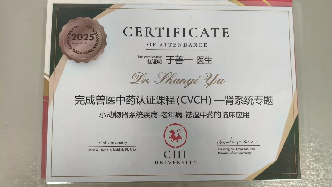 于善一兽医中药认证课程CVCH一期证书照片,我宠我爱动物医院沈阳新世界店医生兽医中药学学习记录