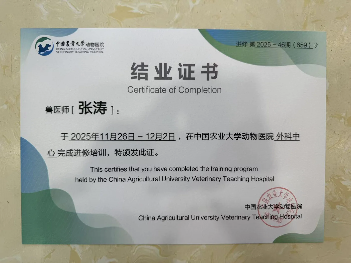 张涛中国农业大学动物医院外科中心进修结业证书照片,2025年11月,我宠我爱动物医院哈尔滨滨江店医生