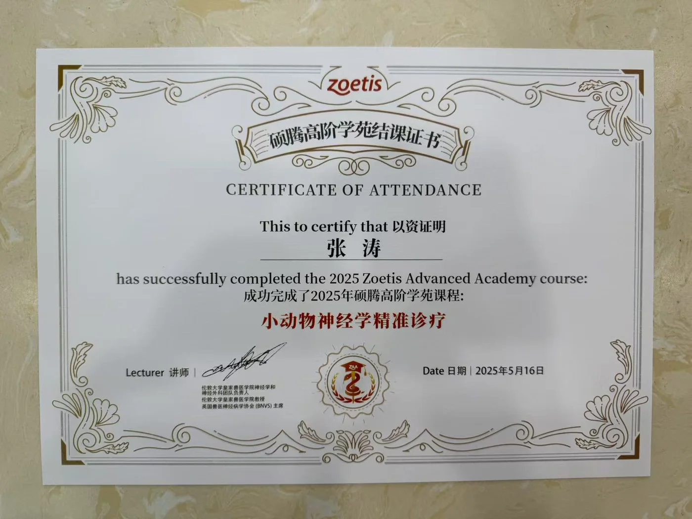 张涛硕腾高阶学苑结业证书照片,2025年,我宠我爱动物医院哈尔滨滨江店医生进修记录