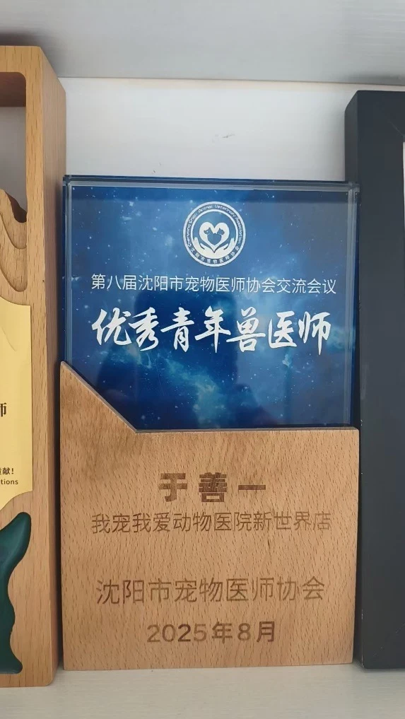 于善一医生的个人荣誉与学习记录